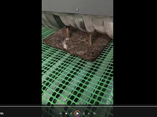 四川客户案例:铁板除锈输送式自动喷砂机工作视频